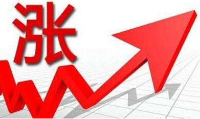 減資公告登報價格